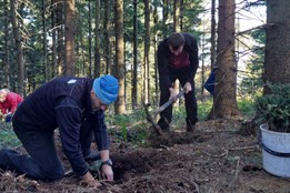 Dobrovolníci z železáren vysadili pod Javorový stovky jedlí