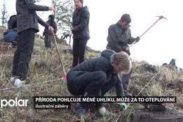 Příroda pohlcuje méně uhlíku, může za to oteplování