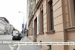 Malý Mehrin v Brně  vypráví příběh Terezínského ghetta očima staré dámy