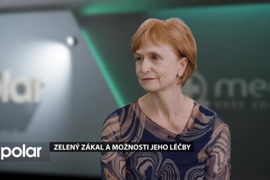 Zdeňka Wandrolová