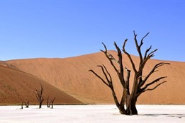 Poznejte krásy daleké Namibie v přednášce sokolovského muzea