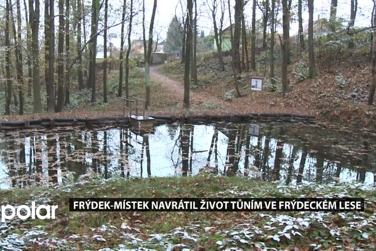 Frýdek-Místek obnovil tůně na Bílém potoku ve Frýdeckém lese