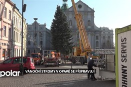 V Opavě se letos rozsvítí 3 vánoční stromy. Na Dolním a Horním náměstí a v bývalém OD Breda