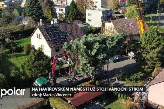 Symbolem Vánoc bude na havířovském náměstí vzrostlá jedle, strom městu darovala rodina