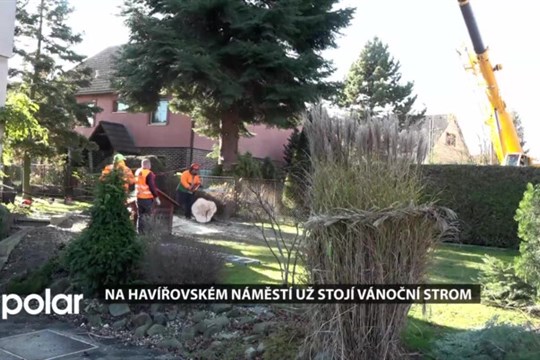 Na havířovském náměstí už stojí vánoční strom, jedli darovala opět rodina