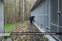 Město pořídilo nové kotce do orlovského psího útulku