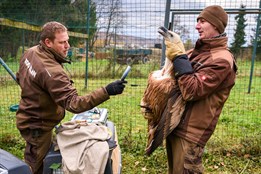 Zlínská zoo patří k nejúspěšnějším chovatelům supů na světě