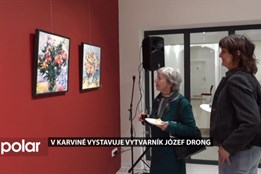 Nenechte si ujít poslední letošní expozici v Galerii města Karviné, vystavuje Józef Drong