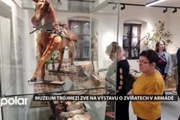 Muzeum trojmezí v Jablunkově zve na výstavu o zvířatech ve vojenské službě