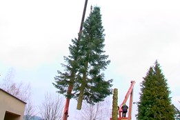 Vánoční strom se ve Vsetíně rozsvítí dnes večer