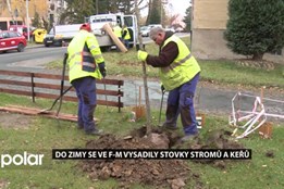 Do zimy se ve Frýdku-Místku vysadily stovky stromů a keřů