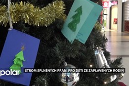 Strom splněných přání v Opavě tentokrát udělá radost dětem ze zaplavených rodin