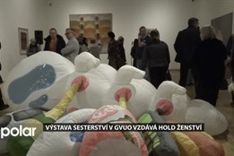 Výstava Sesterství v Domě umění v Ostravě vzdává hold ženství