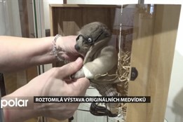 Na Staré poště je roztomilá výstava originálních medvídků