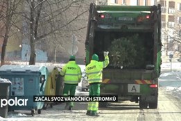 Ostrava zajištuje svoz vánočních stromků. Stačí jej odnést ke kontejnerům