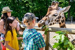 Rok 2024 byl pro zlínskou zoo třetím nejúspěšnějším v historii