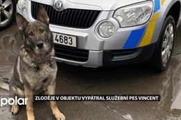 Pozorný soused zabránil krádeži. Zloděje v objektu vypátral  Vincent