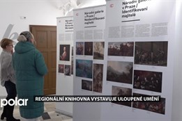 Regionální knihovna Karviná vystavuje do konce ledna Uloupené umění