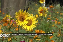 OZO znovu podpoří zelené projekty. Využije výnosy z Reuse centra Ostrava