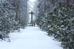 Lesní hřbitov v Novém Boru čeká revitalizace