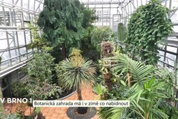 Botanická zahrada má i v zimě co nabídnout