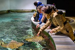 Dárek za pololetní vysvědčení: do zlínské zoo jen za korunu, známky nehrají roli