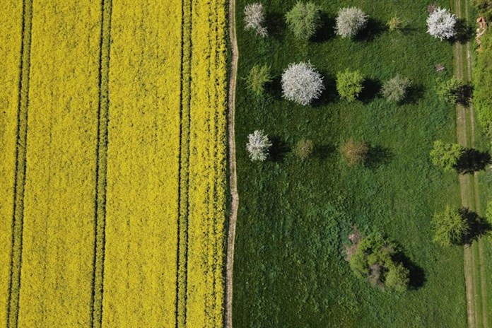 Karlovarský kraj chce podpořit místní zemědělce a rozvoj venkova