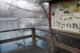 Ornitologové zvou na pozorování ptáků na Malé laguně v Přerově