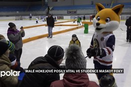 Malé hokejové posily vítal ve Studénce maskot Foxy