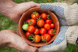 Karlovarský kraj se představí na prestižních veletrzích: Ukáže to nejlepší z regionální produkce