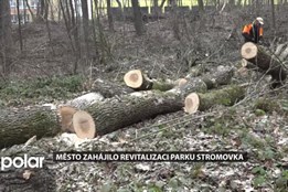 Lesopark Stromovka bude bezpečnější, radnice zahájila revitalizaci