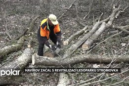 Havířov začal s revitalizací lesoparku Stromovka