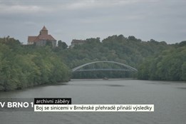 Boj se sinicemi v Brněnské přehradě přináší výsledky