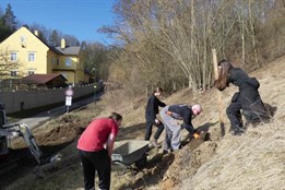 Ve Slatinkách vyrostl nový sad s pomocí studentů a kouzla přírody