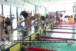 Plavecký oddíl Kosatky Karviná uspořádal další ročník Motýlkářského trojboje