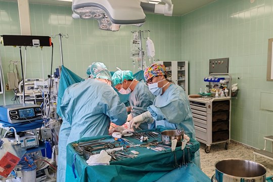 Českobudějovická nemocnice disponuje jako jediná v Jihočeském kraji specializovaným centrem pro hepatopankreatobiliární chirurgii