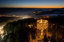 Stezka korunami stromů na Lipně v magickém osvětlení